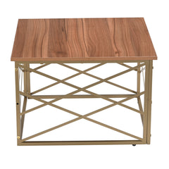Modern Square Coffee Table with Metal Frame –  Finish Center Table for Living Room