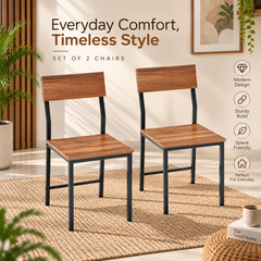 Set of 2 Chairs for Home, Kitchen, Office & Cafe